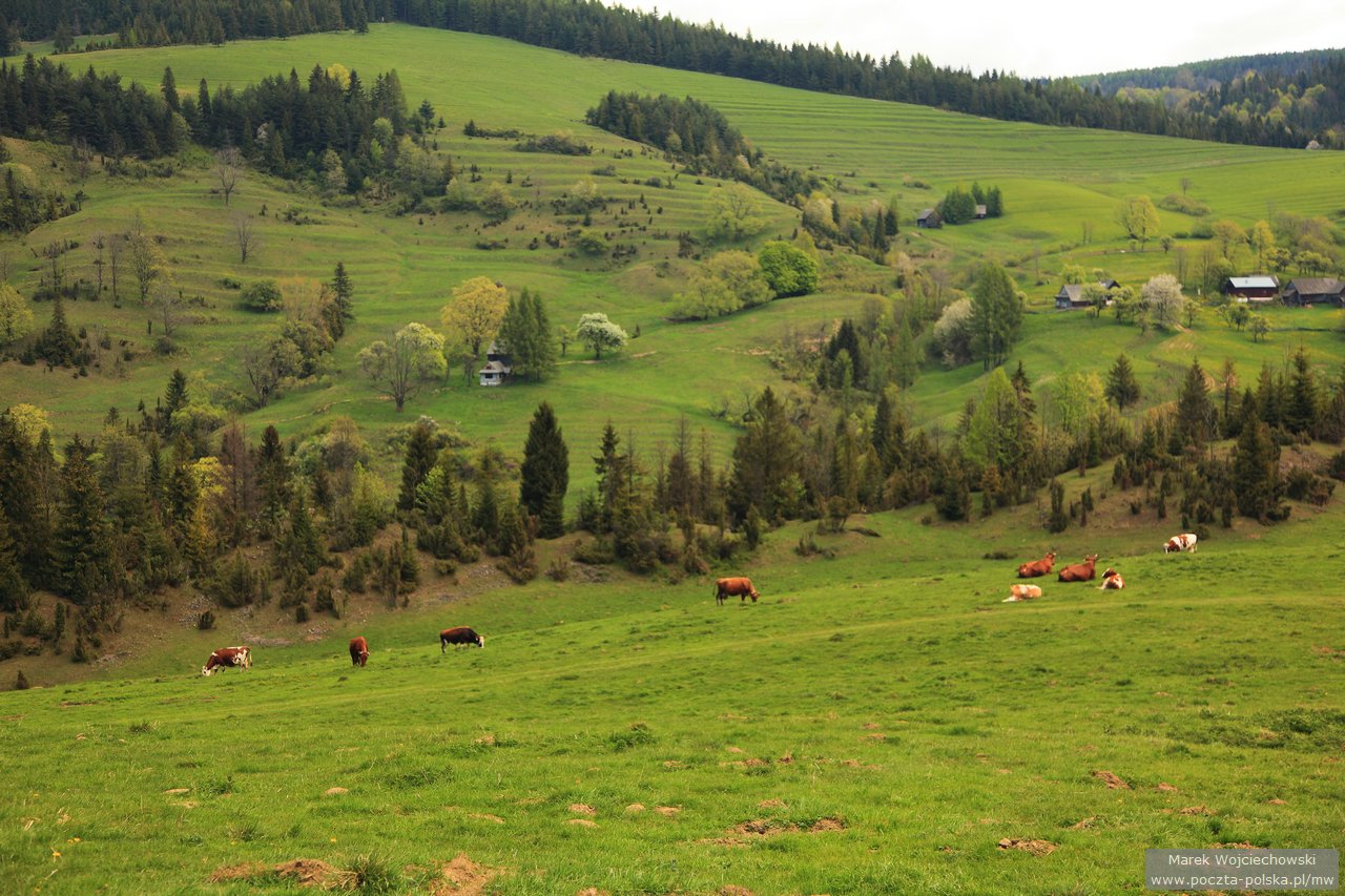Pieniny - Biala Woda